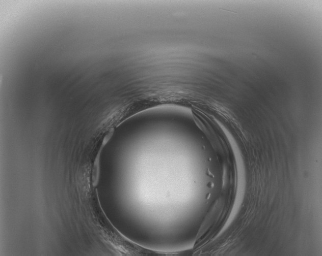 X0000060580501200511101700