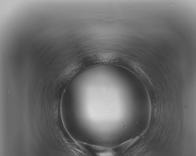 X0000060580505200511101659