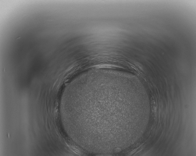 X0000060580507200511101659