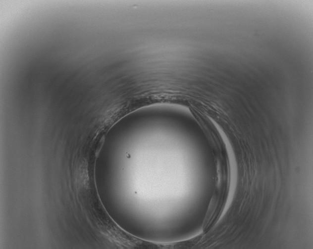 X0000060580508200511101659