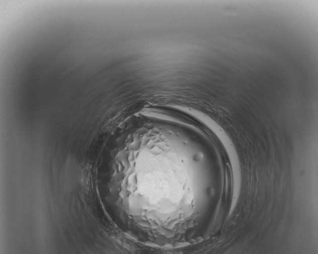 X0000060580511200511101659