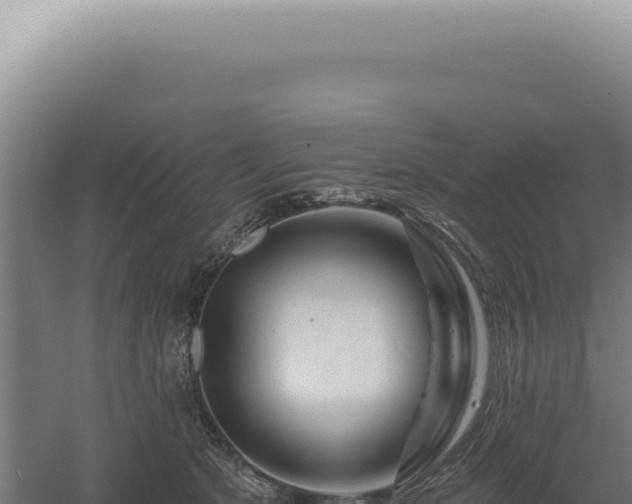 X0000060580513200511101659