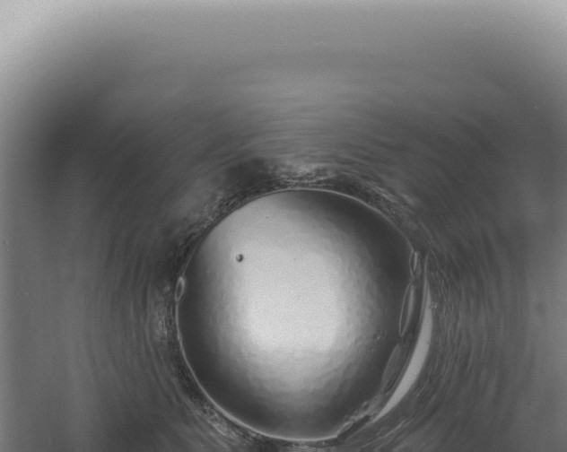 X0000060580515200511101659