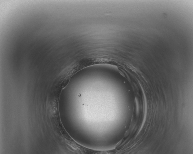 X0000060580517200511101659