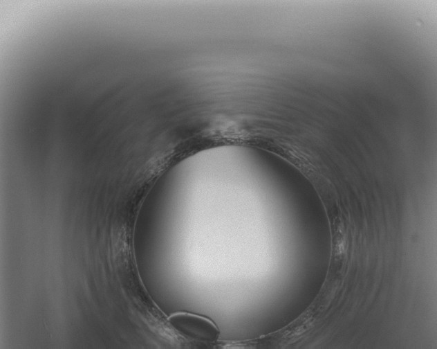 X0000060580518200511101659