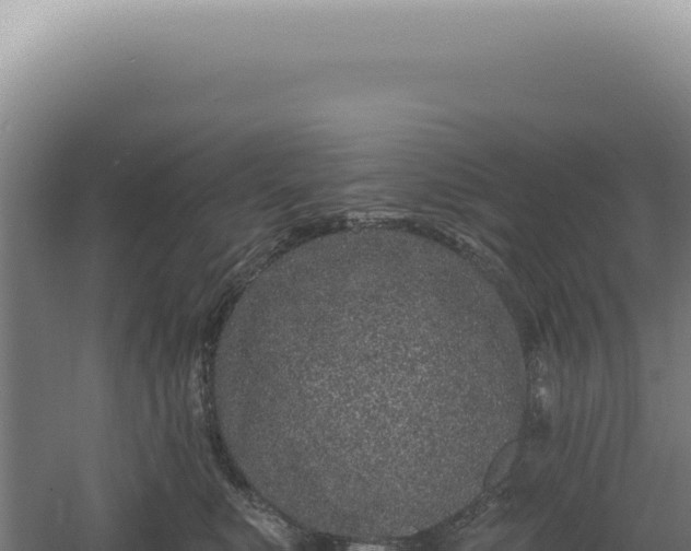 X0000060580519200511101659