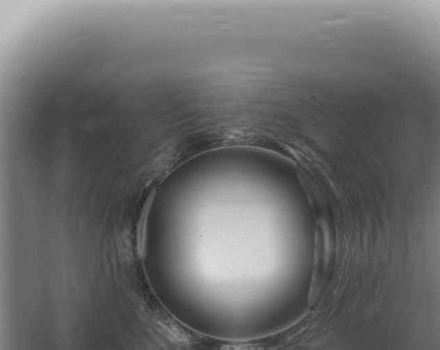 X0000060580520200511101659