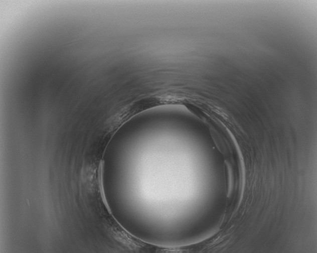 X0000060580521200511101659