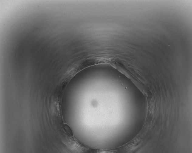 X0000060580522200511101659