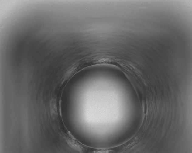 X0000060580524200511101659