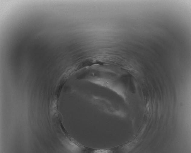 X0000060580526200511101659