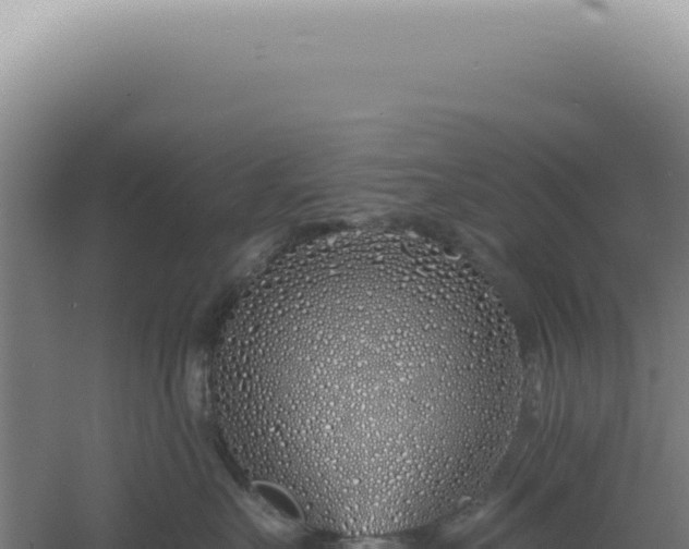 X0000060580527200511101659