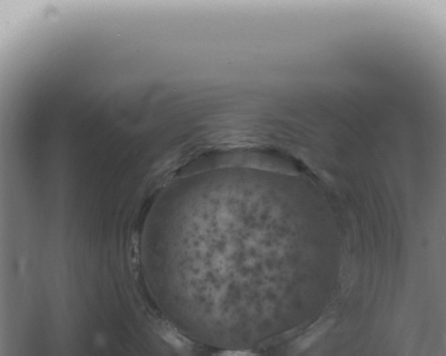 X0000060580528200511101659