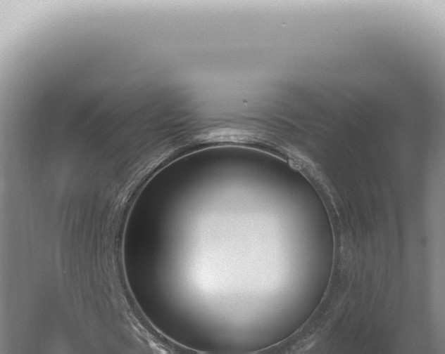 X0000060580529200511101658