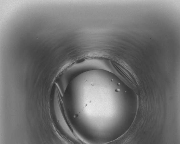 X0000060580530200511101658