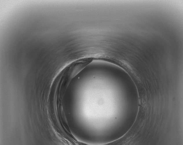 X0000060580532200511101658