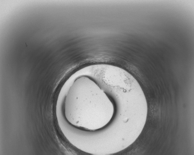 X0000060580534200511101658