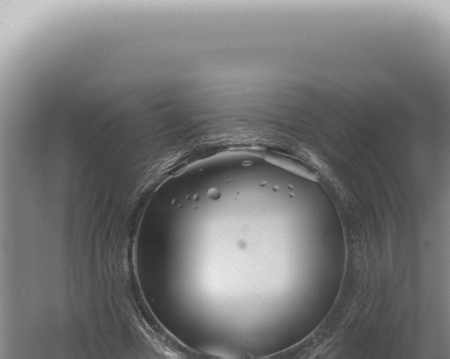 X0000060580537200511101658