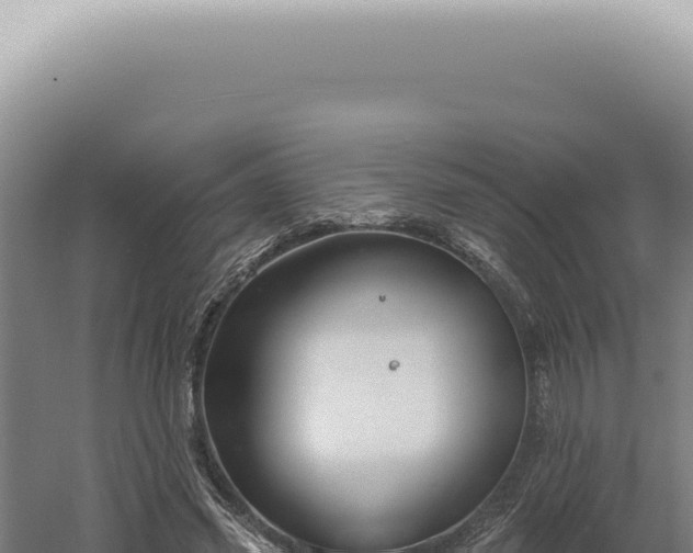 X0000060580541200511101658