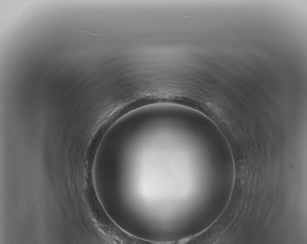 X0000060580544200511101659