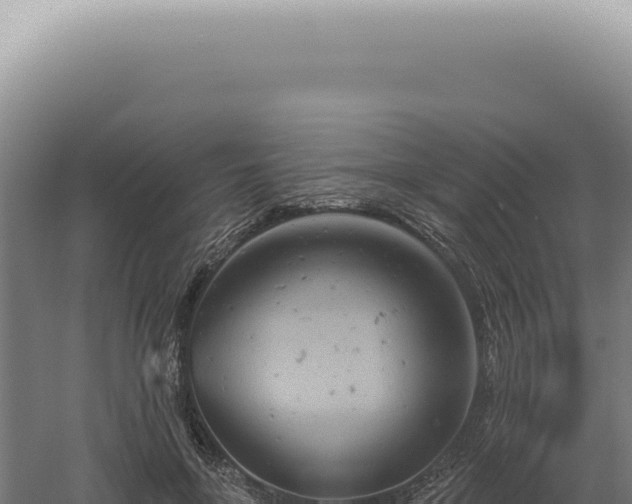 X0000060580551200511101659