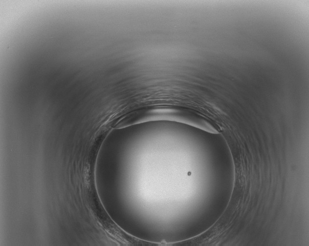 X0000060580556200511101659