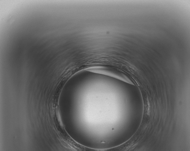 X0000060580558200511101659