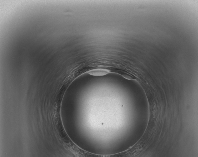 X0000060580559200511101659