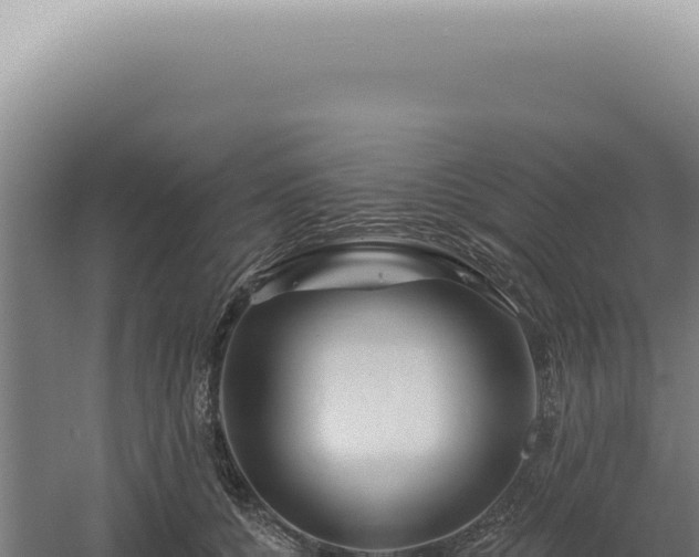 X0000060580560200511101659