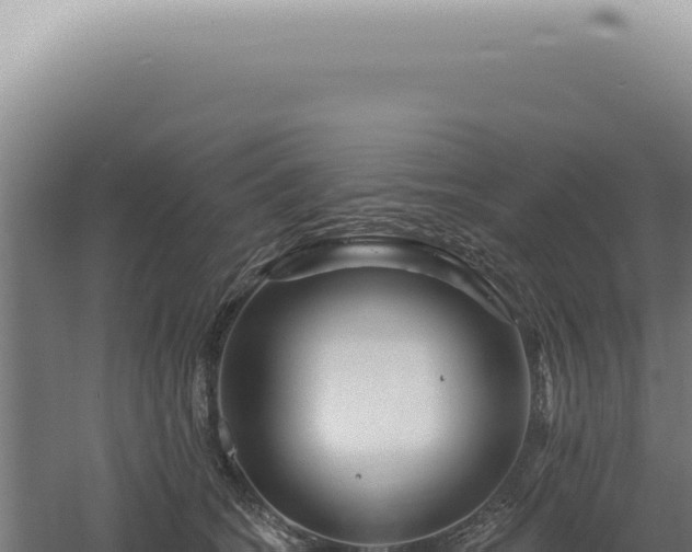 X0000060580562200511101659