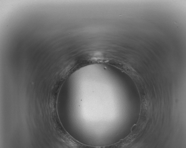 X0000060580565200511101659