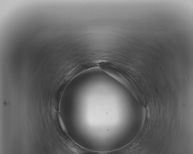 X0000060580566200511101659