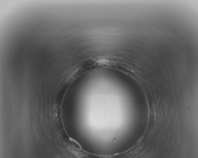 X0000060580567200511101659