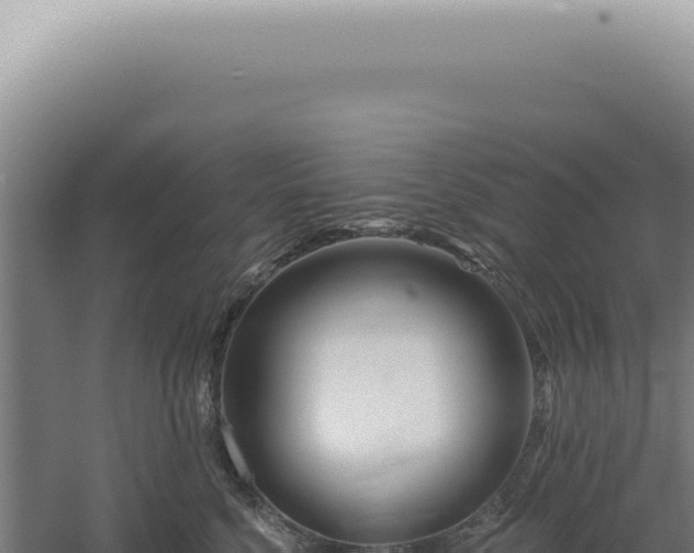 X0000060580568200511101659