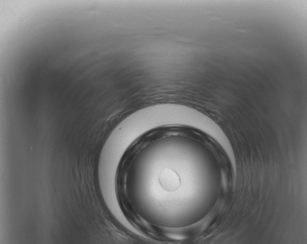 X0000060580570200511101659