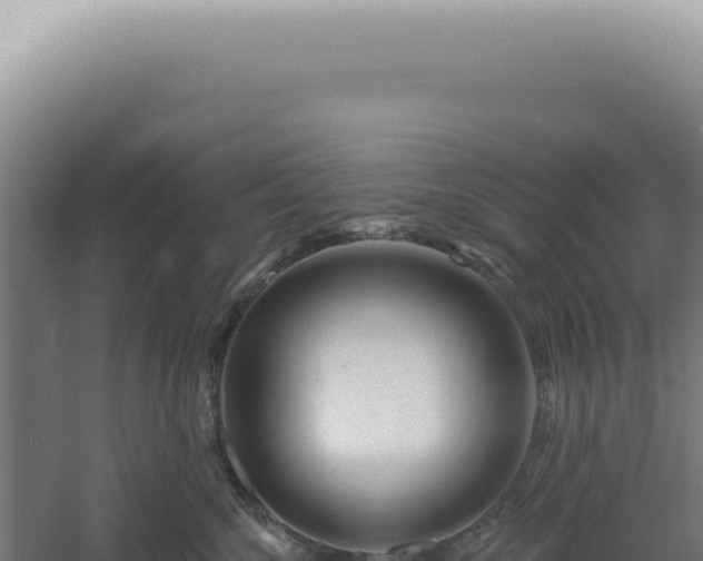 X0000060580572200511101659