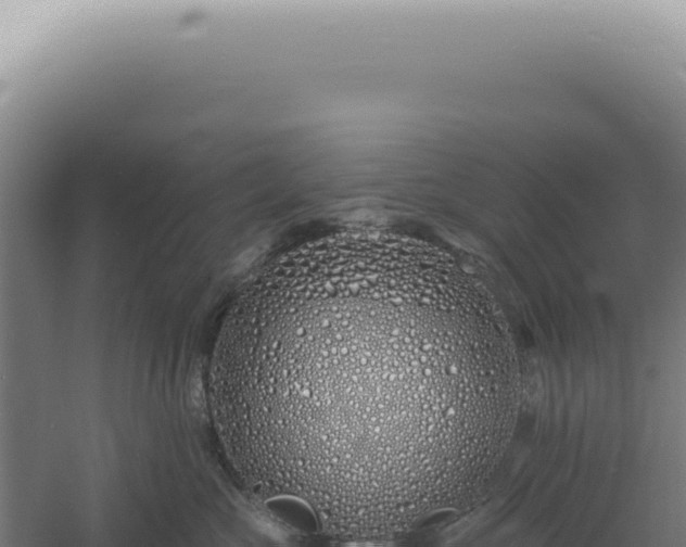 X0000060580573200511101659