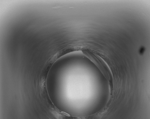 X0000060580574200511101659