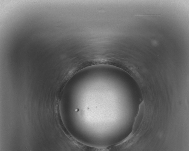 X0000060580576200511101659