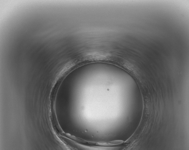 X0000060580582200511101658