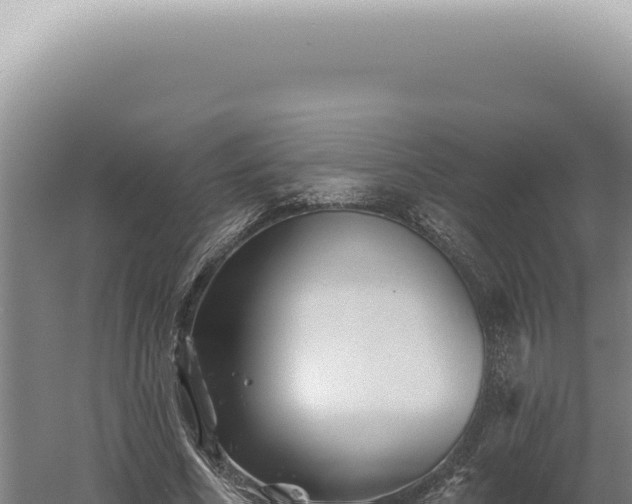 X0000060580586200511101658