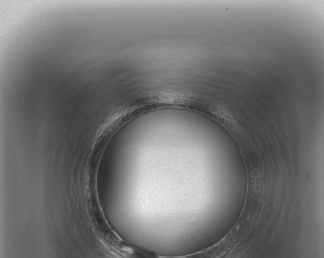 X0000060580587200511101658