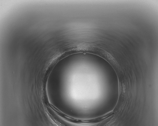 X0000060580588200511101658