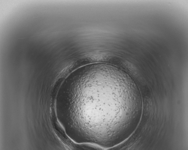 X0000060580590200511101658