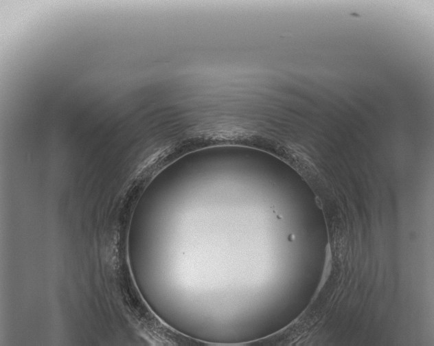 X0000060580591200511101658