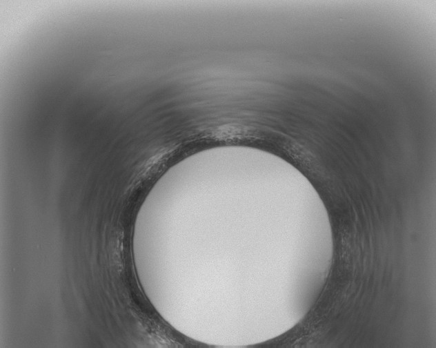 X0000060580592200511101658