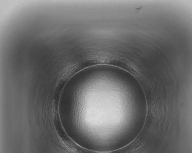 X0000060580594200511101658