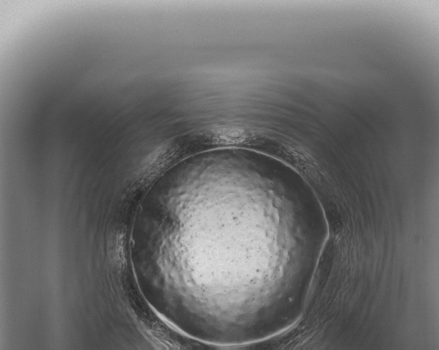 X0000060580598200511101658