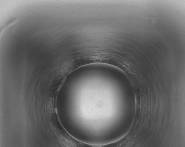 X0000060580605200511101658