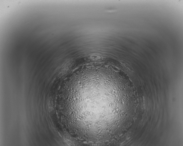 X0000060580606200511101658